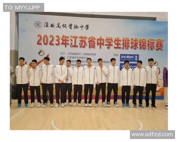 南京排球队在全国排球耐力排行榜中荣获第三名的辉煌成就