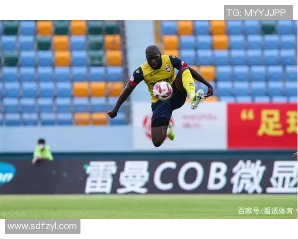 北京排球队阵地战革新探索新战术提升竞技水平与团队协作能力