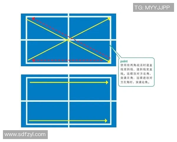 深入分析杭州乒乓球队防反打法的战术特点与应用策略